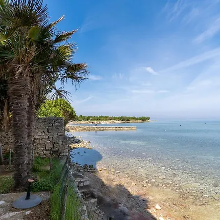 Villa Daulos Novigrad  Exterior photo