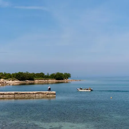 Villa Daulos Novigrad  Exterior photo