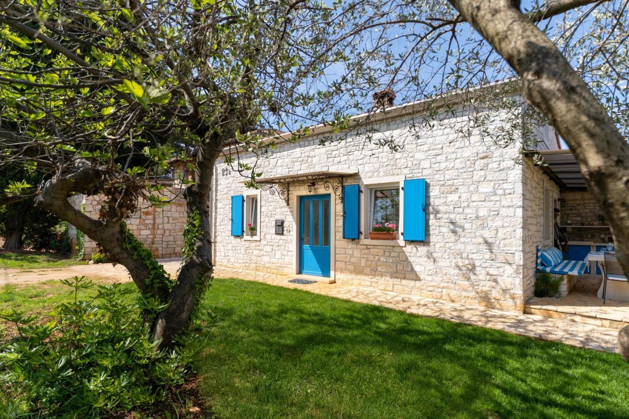 Villa Daulos Novigrad (Istria)