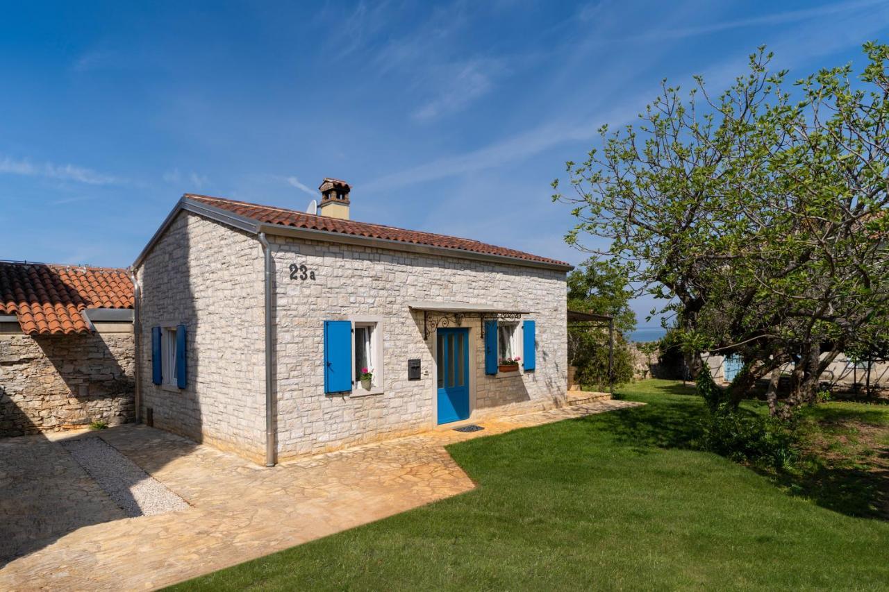Villa Daulos Novigrad (Istria)