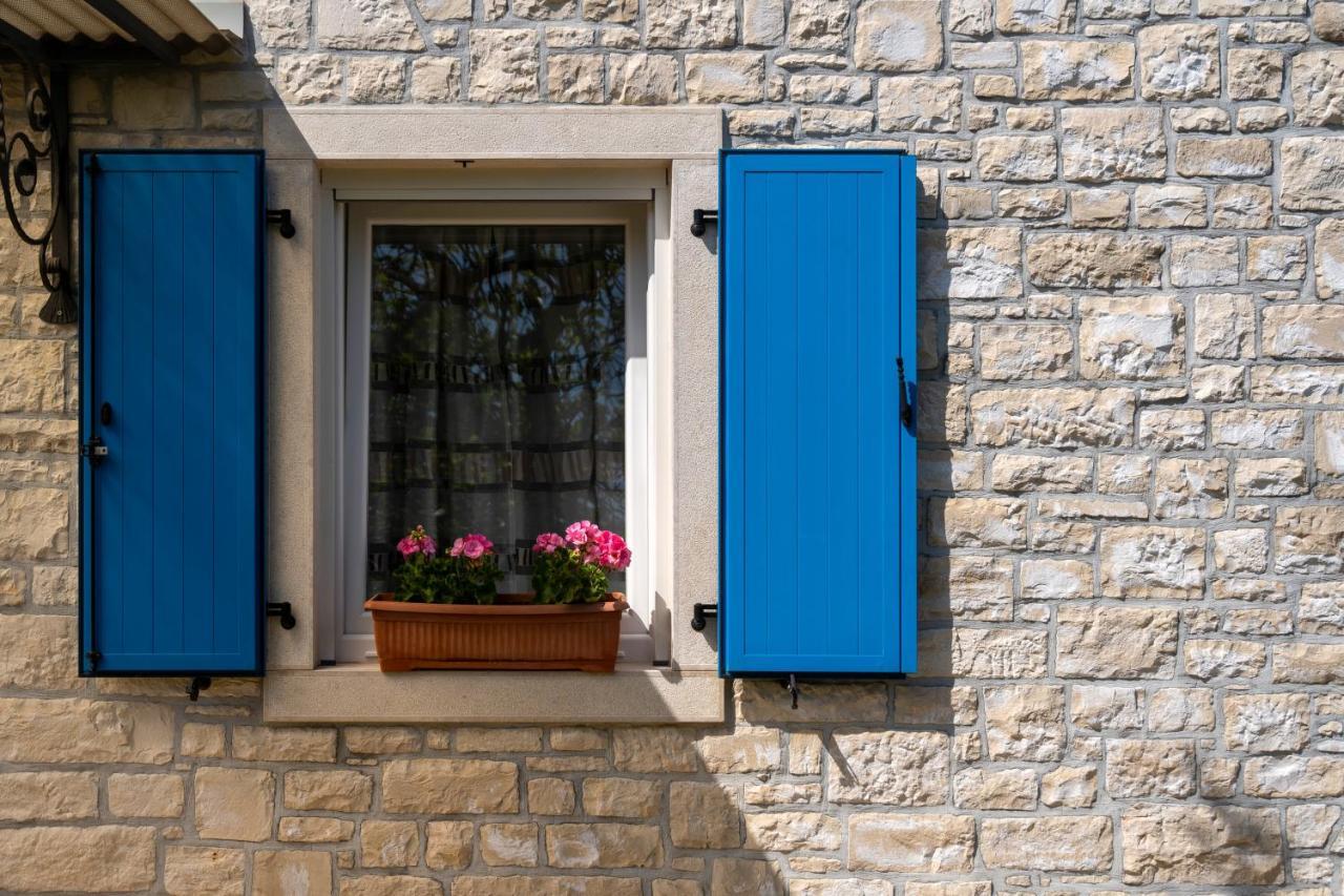 Villa Daulos Novigrad (Istria)