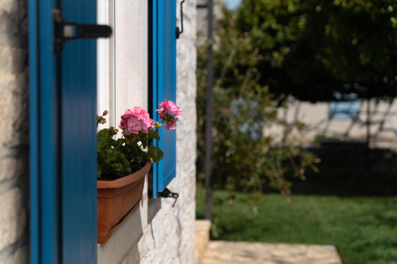 Daulos * Novigrad (Istria)